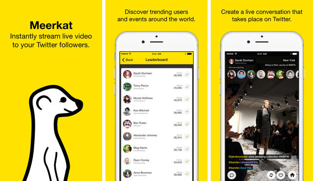 Meerkat: What is it and how can you use it to market your business?
