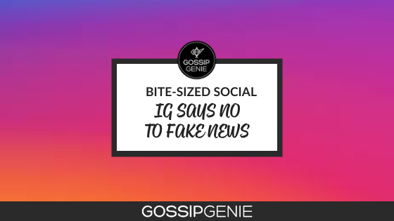 Bite-Sized Social: Instagram Fights Fake News